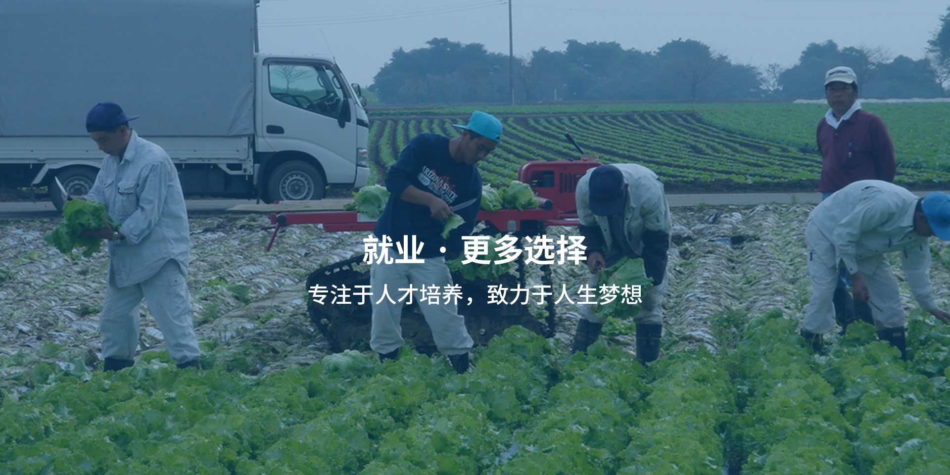 就业