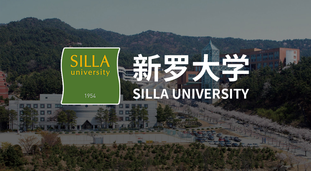 新罗大学